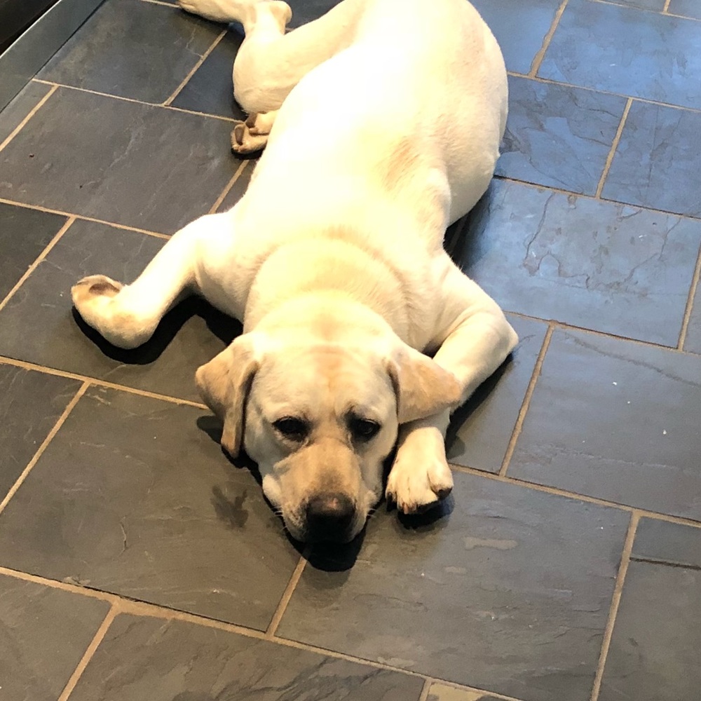 Meet your Posher, Charlotte